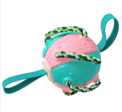 dog toy