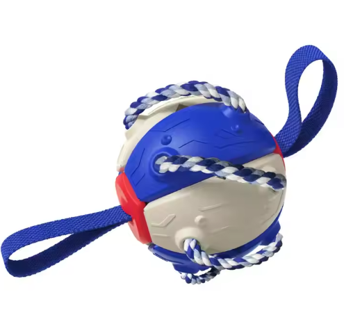 dog toy
