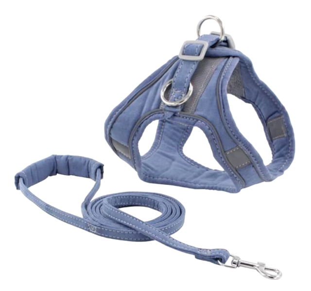 leashes