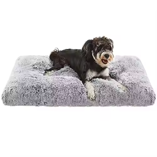 non-slip waterproof silent base warm comfortable soft dog bed