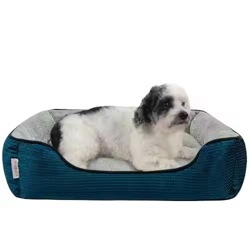 Memory Foam Dog Bed