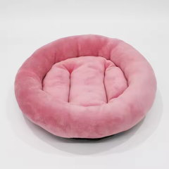 Colorful dog Beds