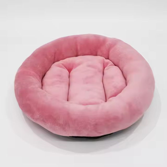 Colorful dog Beds