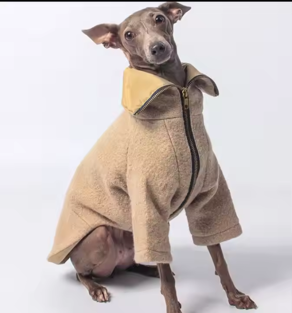 Whippet coat with legs winter wool fashion