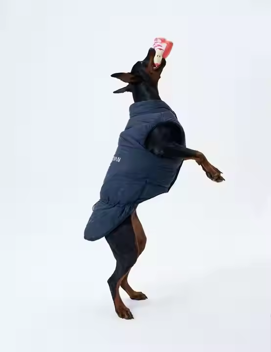 Dog Jacket Custom Size