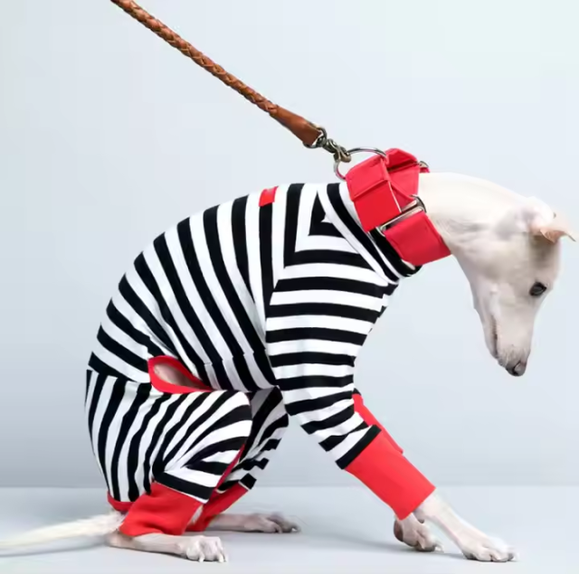 large dog onesie pet clothes