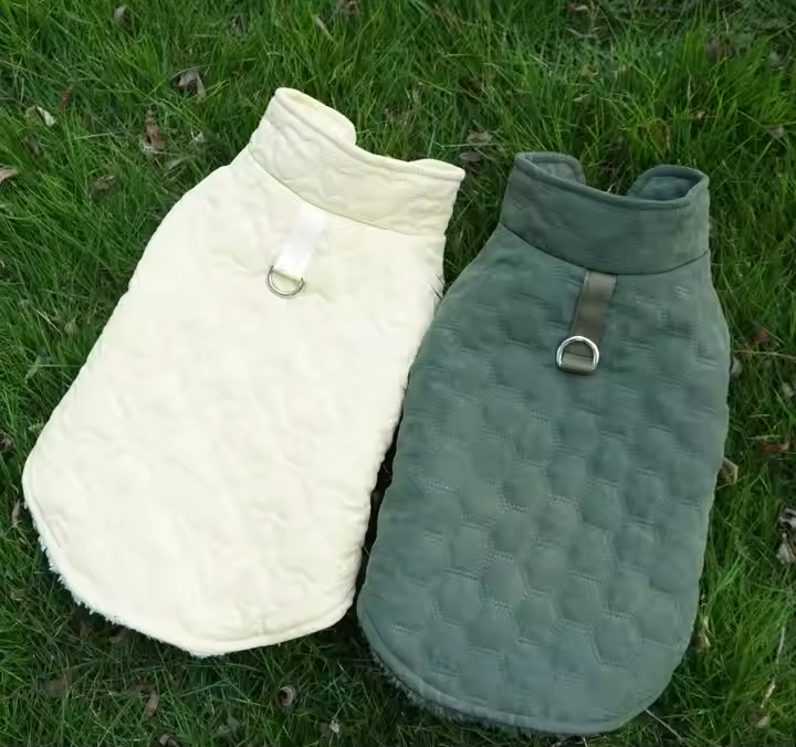 dog clothes