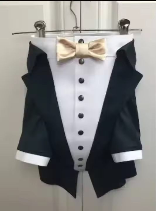 birthday clothes suits for dog