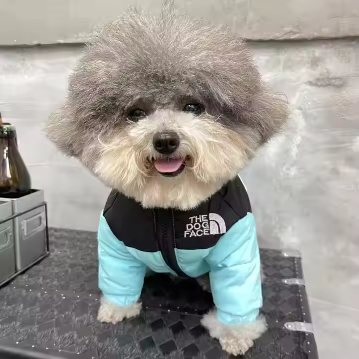 Small Pet Clothes Dog