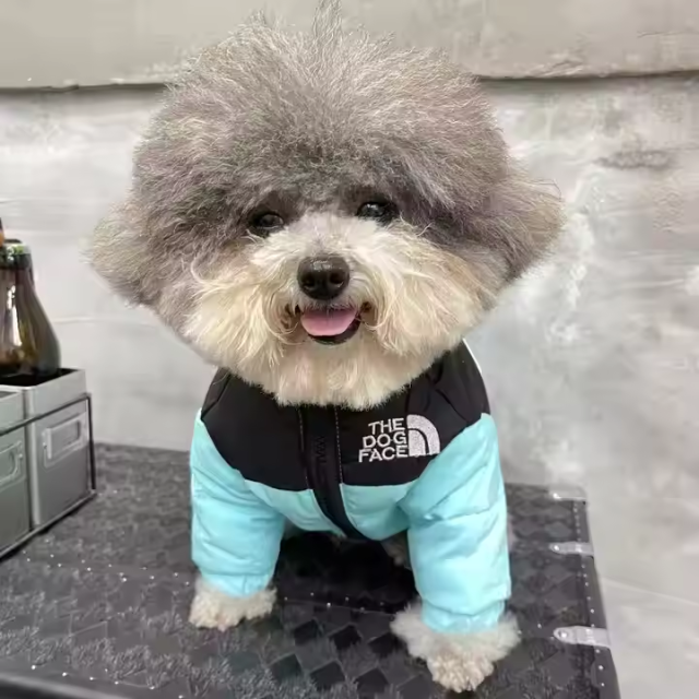 Small Pet Clothes Dog