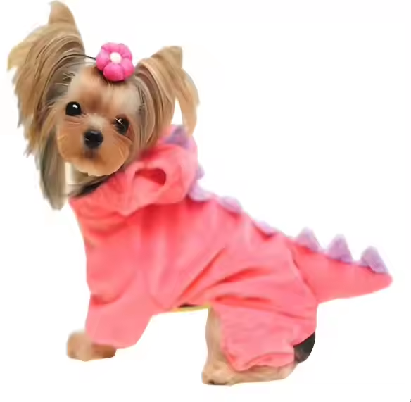 dog clothes for small dogs Party Birthday