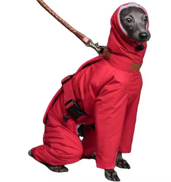 warm popular outdoor large breed italian greyhound coat
