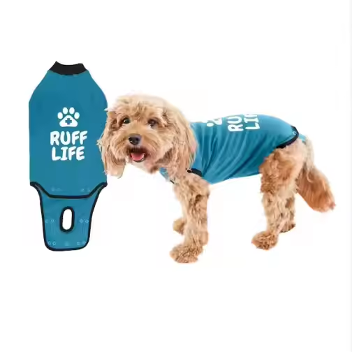 BellyGuard Recovery Suit for Dogs