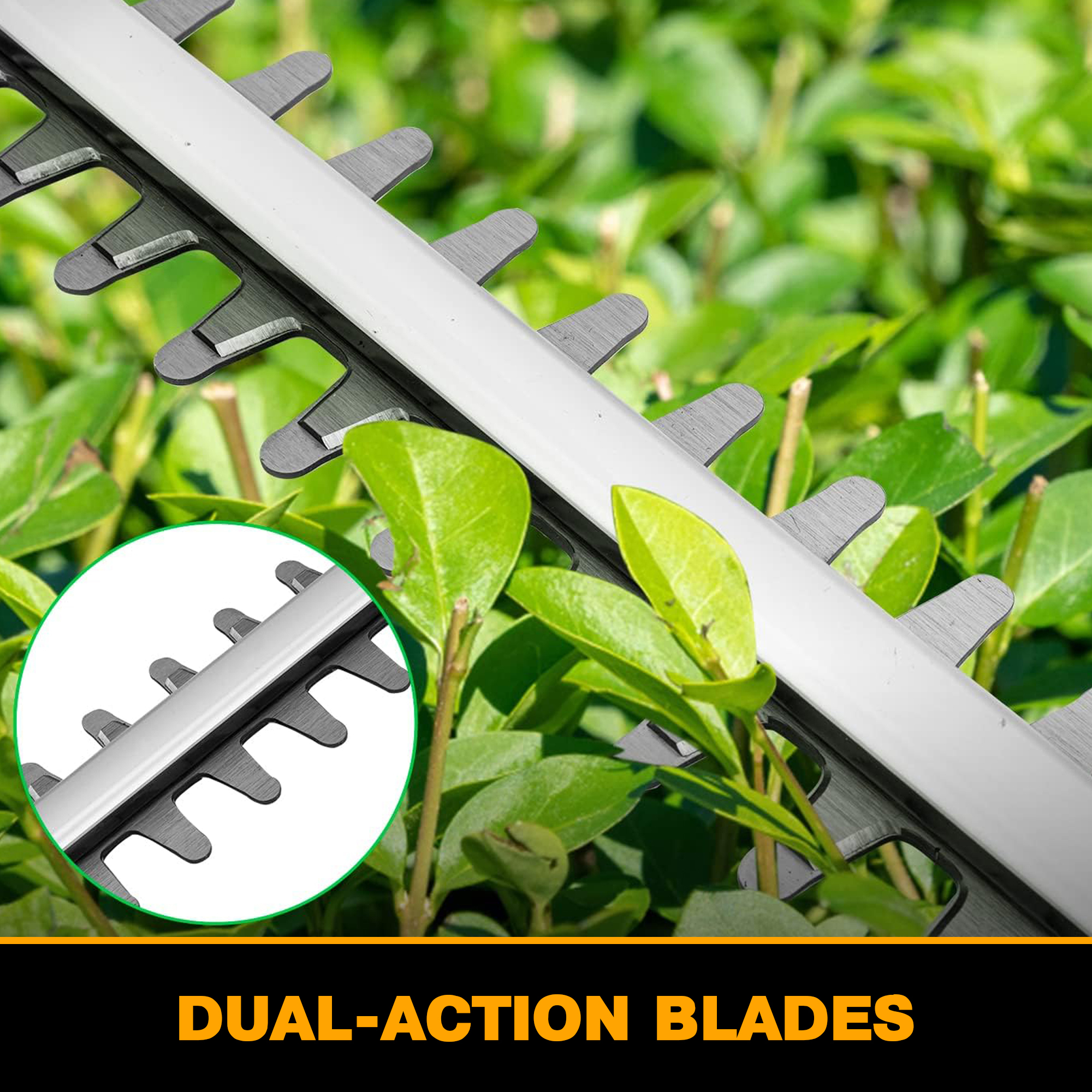 21V Hedge Trimmer