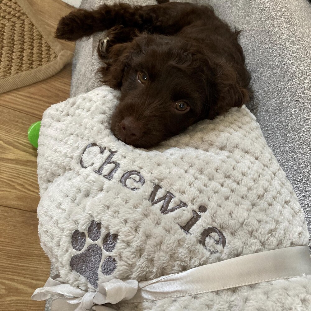 Personalized Soft Pet Blanket with Paw Prints & Name Embroidery