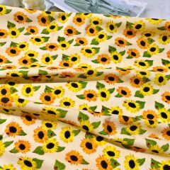 Yellow Sunflower