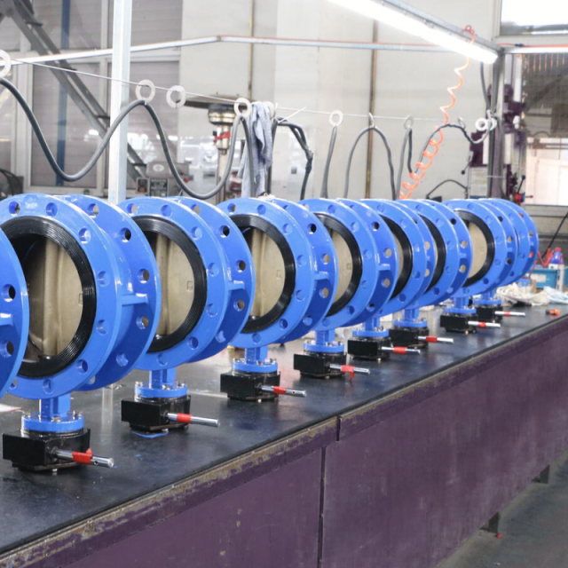 Concentric Flange Butterfly Valve