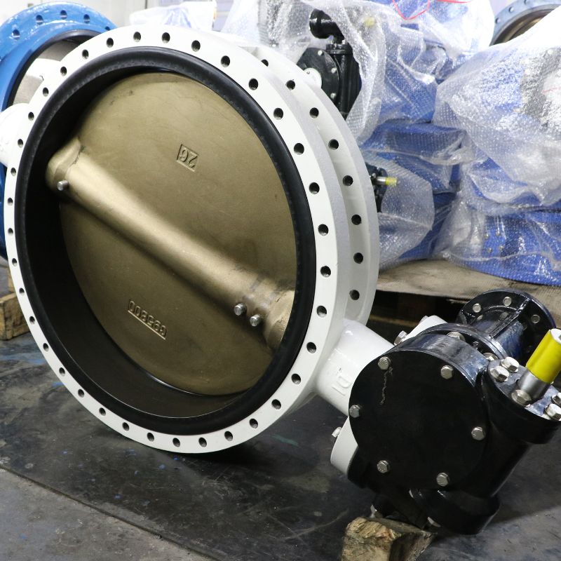 U Section Butterfly Valve