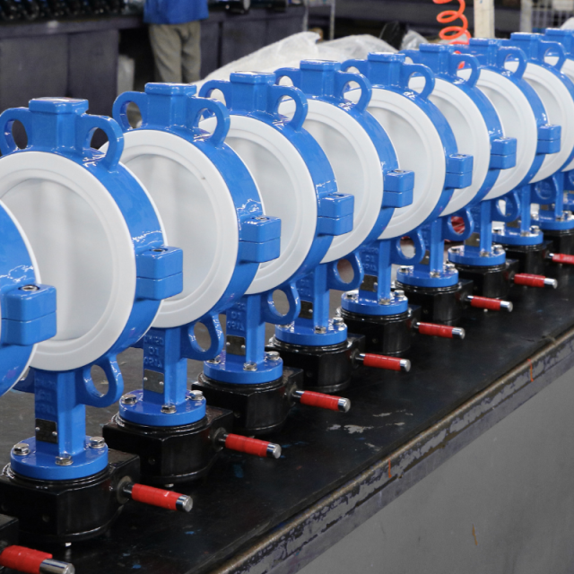 PTFE Lined Butterfly Valve