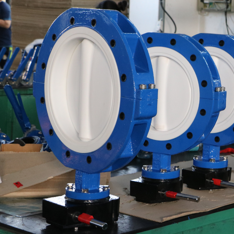 PTFE Lined Butterfly Valve
