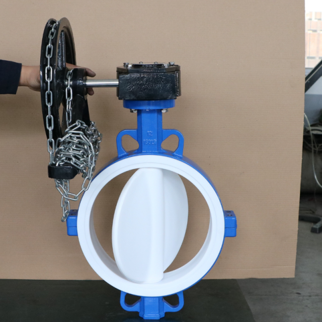 PTFE Lined Butterfly Valve