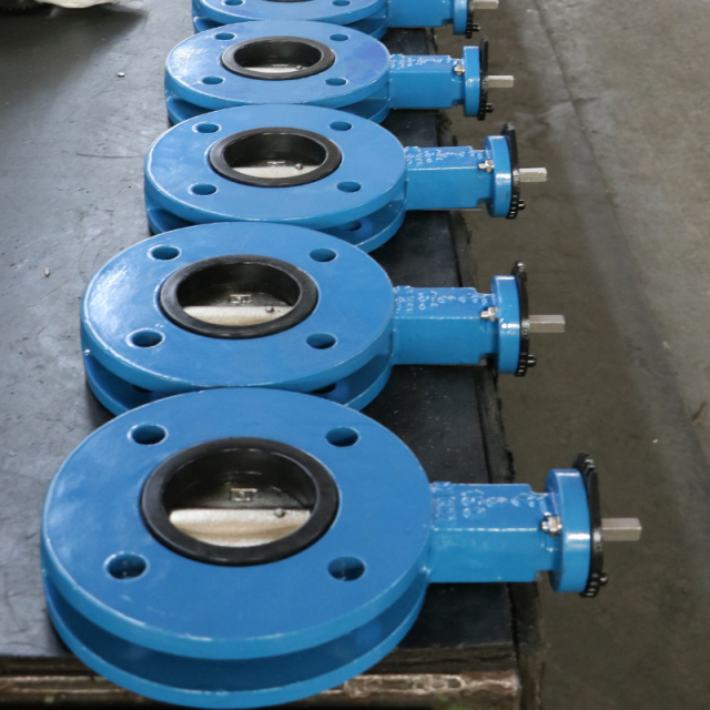 U Section Butterfly Valve