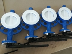 Wafer Lug  U-Type  Split Body PTFE  PFA Lining Butterfly Valve