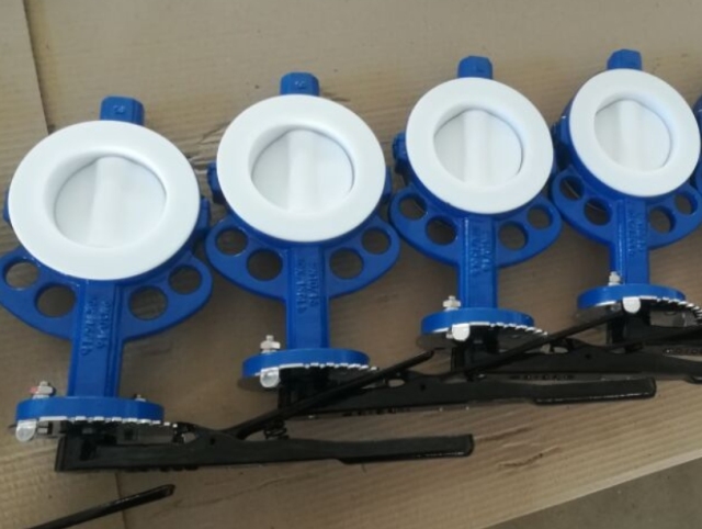 Wafer Lug  U-Type  Split Body PTFE  PFA Lining Butterfly Valve