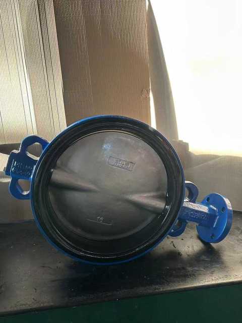 16" Wafer Butterfly Valve — Replaceable Cartridge Seat,16" Wafer Butterfly Valve Replaceable Seat | Laux Valve,Laux Valve