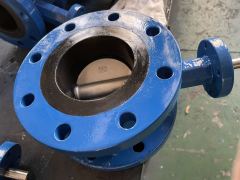 AWWA C504 Concentric Double Flange Butterfly Valve — Class 125, Vulcanized Seat, Flat Face