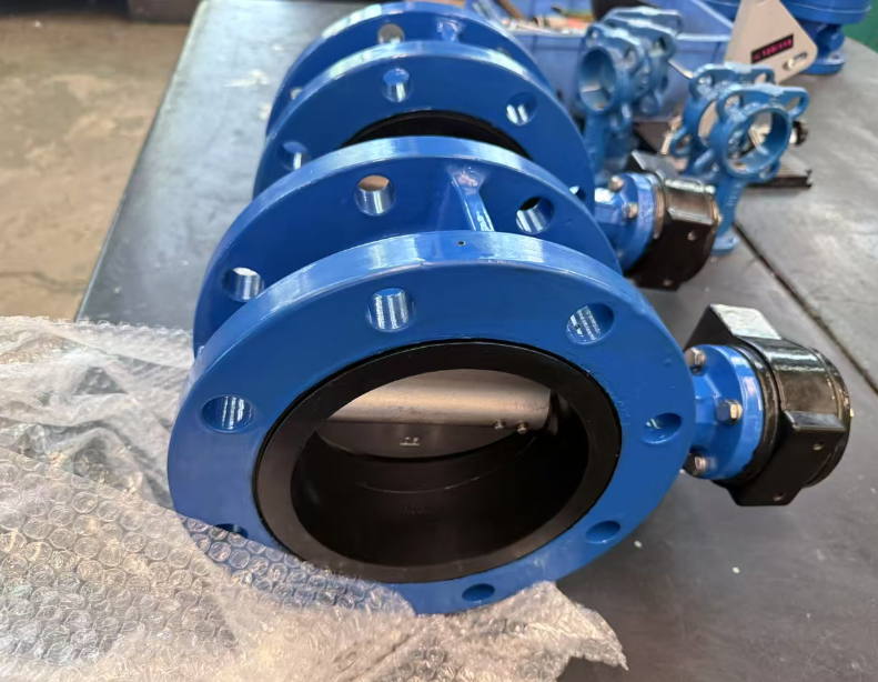 10" AWWA C504 Concentric Double Flange Butterfly Valve – Waterworks Grade Flow Control,10" AWWA C504 Concentric Double Flange Butterfly Valve – Waterworks Grade Flow Control,Butterfly Valve Manufacturer in China 