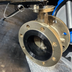Concentric Double Flange Butterfly Valve Full Al-Bronze (C95800) Body & Disc – Seawater Service,Concentric Double Flange Butterfly Valve Full Al-Bronze (C95800) Body & Disc – Seawater Service,Válvula Laux