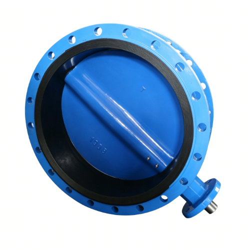 DN600 EN 558-1 Series 13 Double Flange Butterfly Valve with Epoxy Coated Disc