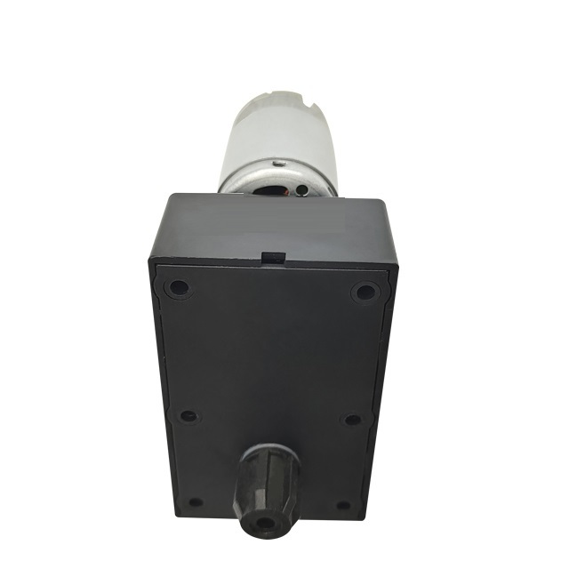 Discharge motor