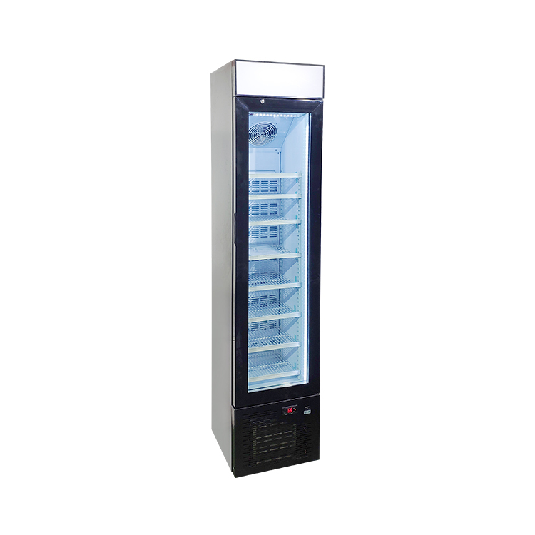 Standing Freezer