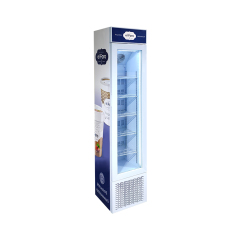 Standing Freezer