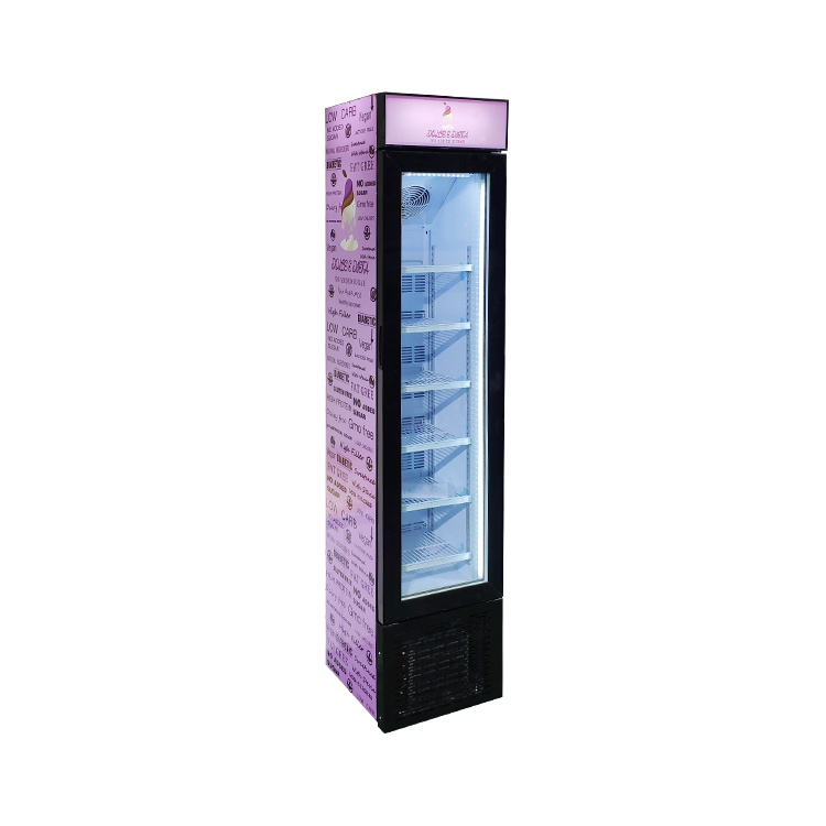 Standing Freezer
