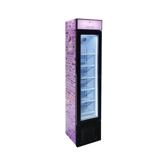 Standing Freezer