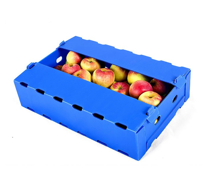 PP plastic corflute fruit box plastic corrugated plastic box reused boxes for good