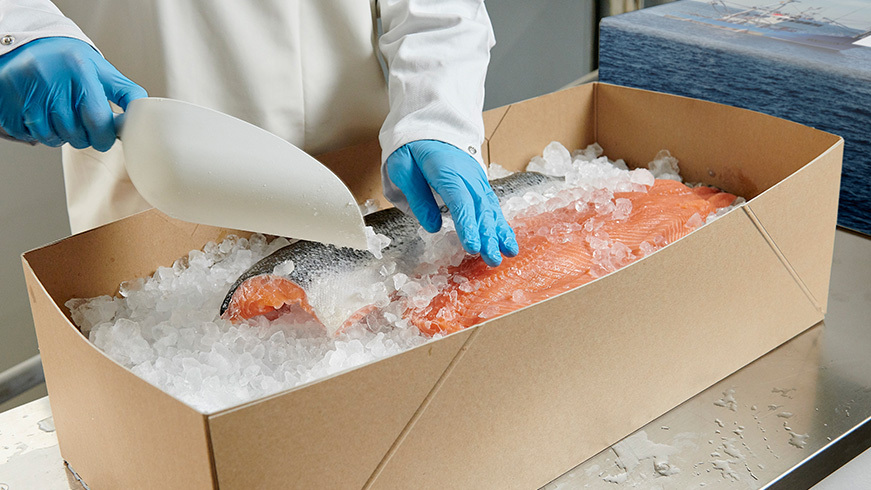 White Frozen Fish Cardboard Box