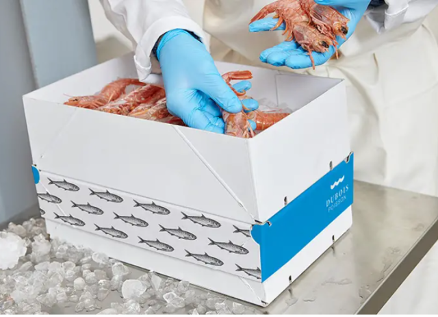 White Frozen Fish Cardboard Box