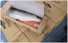 Seafood Fish Fillets Shrimp Tuna Salmon Paper box