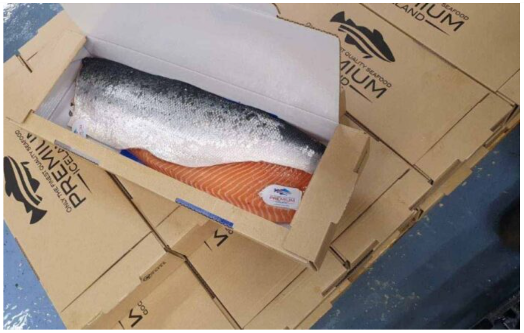 Seafood master carton box for -40 degree
