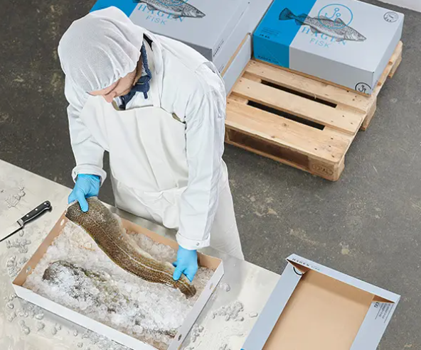 White Frozen Fish Cardboard Box