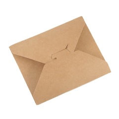 Disposable foldable take away lunch box