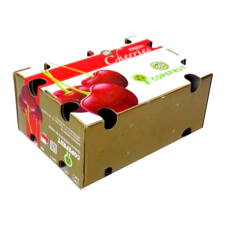 Strong Fruit Cardboard Corrugated Box for Banana Packing