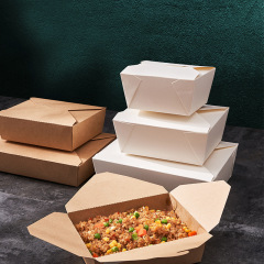 Disposable foldable take away lunch box
