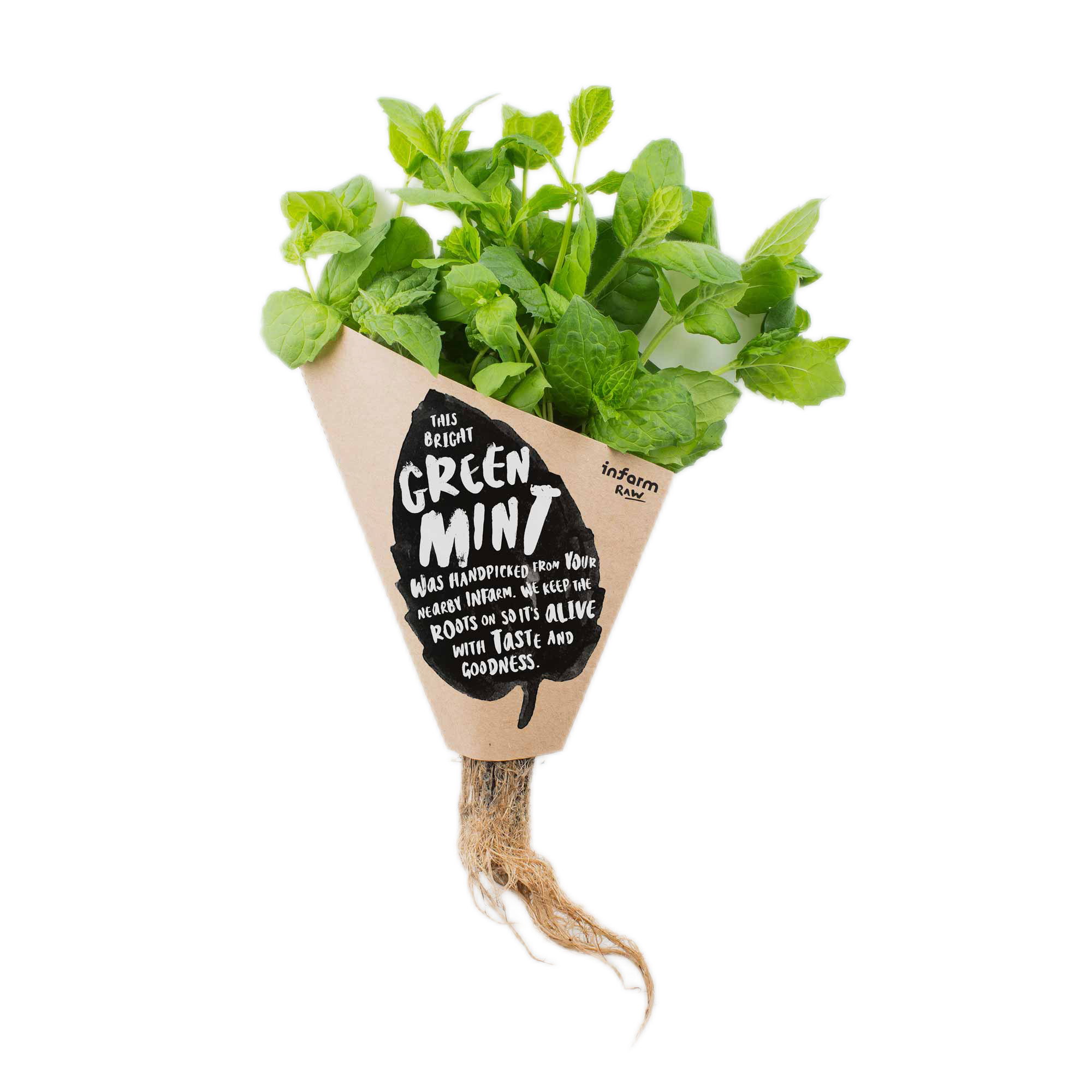 Vegetable kraft paper wraper packaging