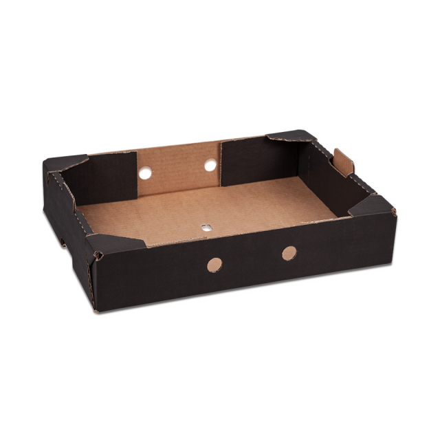 Fruit Market Carton Tray Box with Air holes