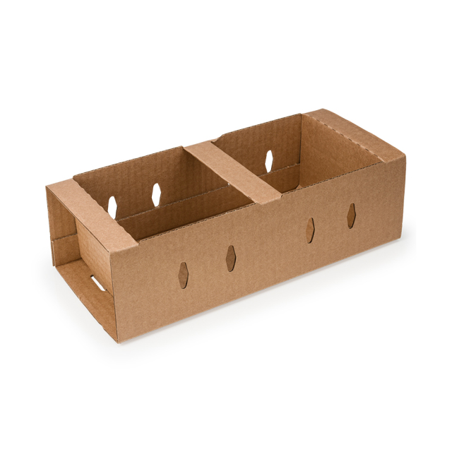Fruit Market Carton Tray Box with Air holes